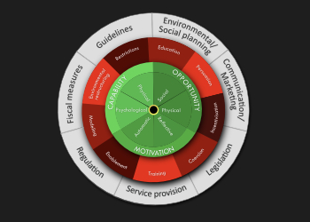 Behavior Change Wheel project image