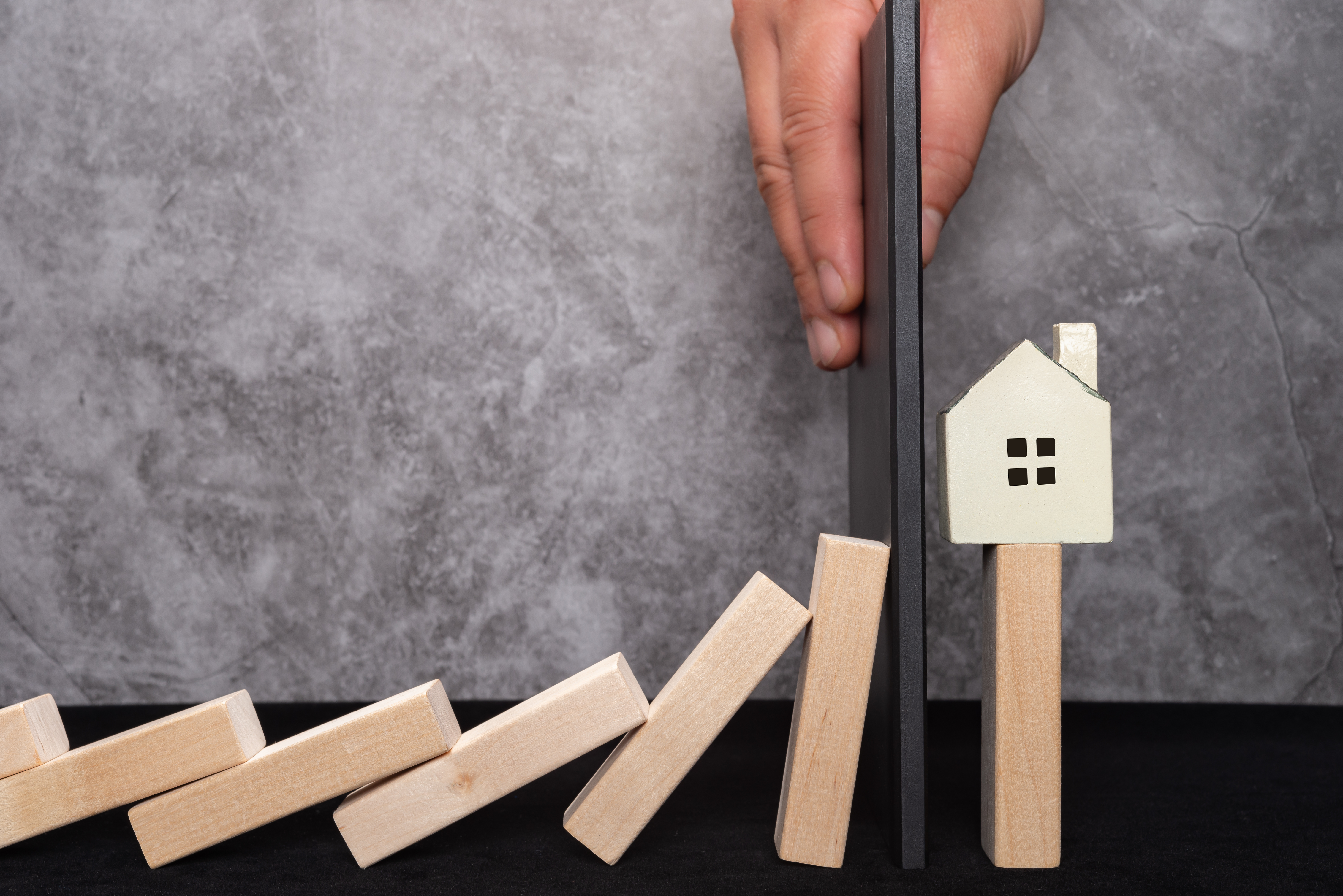 Mortgage Loss Mitigation project image